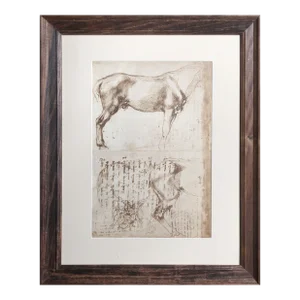 Studi di Cavalli from Disegni di Michelangelo, Michelangelo Lithograph