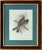 Wood Antique Original John Gould English Bird Print, Framed For Sale - Image 7 of 7