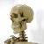 Mexican Vintage Real Size Human Skeleton For Sale - Image 3 of 4