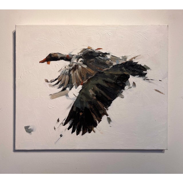 Goose II by Thibault Jandot | Oil Painting of a flying goose in motion For Sale