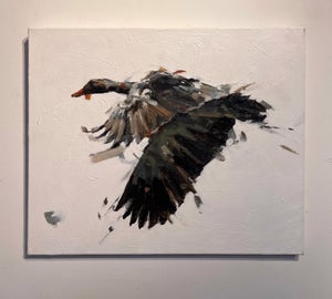 Goose II by Thibault Jandot | Oil Painting of a flying goose in motion