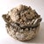 A unique contemporary sculpture with organic and mineral forms, created using mixed media, by Anita Tullio. The...
