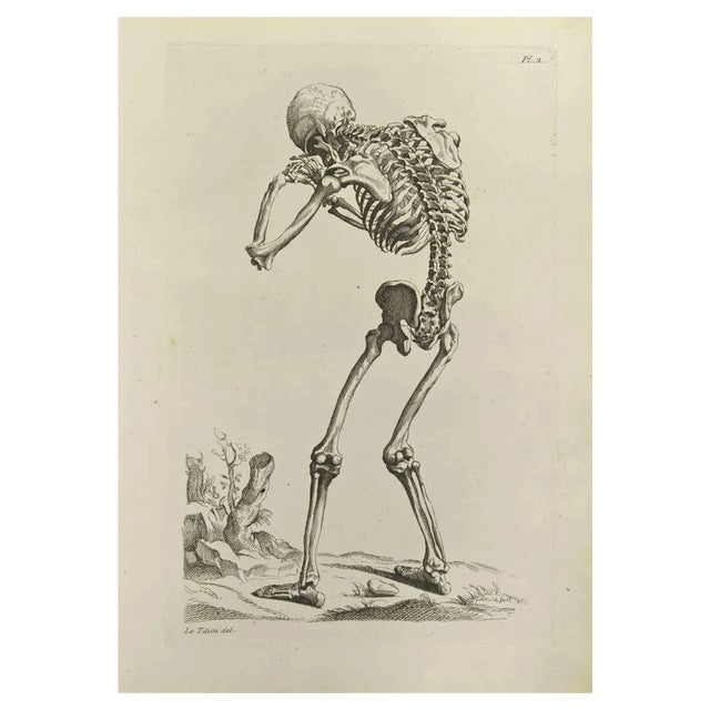 Jean François Poletnich, Skeleton after Titian, Etching, 1755 For Sale