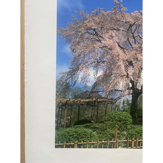 Pink JAPAN AIRLINES 1st Print Poster, 1990s For Sale - Image 8 of 11