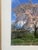 Pink JAPAN AIRLINES 1st Print Poster, 1990s For Sale - Image 8 of 11