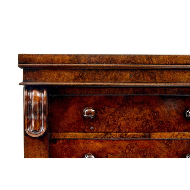 Early Victorian Wellington Burr Walnut Chest, 1840s For Sale - Image 11 of 12