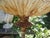 Cast Iron Birdbath, 1990s For Sale - Image 15 of 17