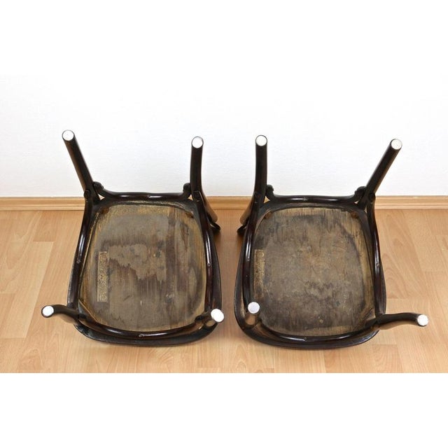 Art Nouveau Bentwood Chairs attributed to Kohn, Vienna, 1910s, Set of 2 For Sale - Image 11 of 14