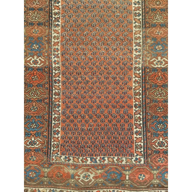 A charming late 19th century Kurdish area rug hand knotted in an allover design based on a variation on the paisley...