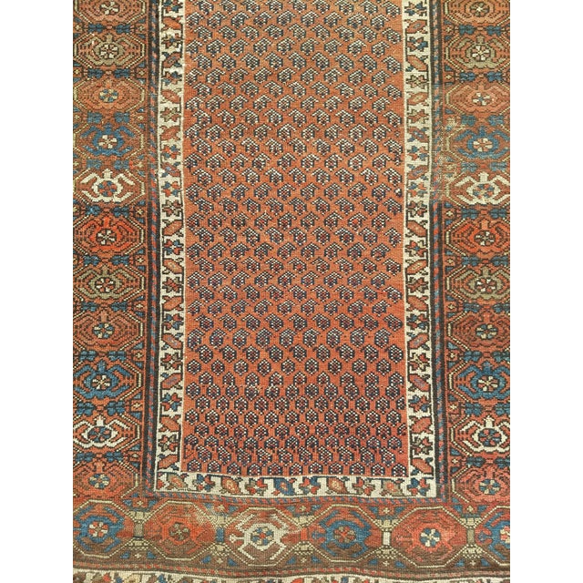 3’ 3" x 6’ 1” This beautiful Kurdish area rug is from western Persia around the late 1800s. The Kurdish rug has a...