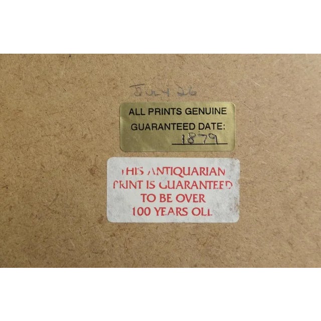 Paper Humorous Sketches from Wimbledon, 1879 For Sale - Image 7 of 8