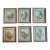 1940s Set of 6 Small Framed Sidney Z Lucas Prints - Months of the Year - English Country Pastoral Art For Sale