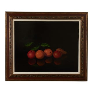 Vintage Still Life Painting of Fruit by Antonio Gusini For Sale