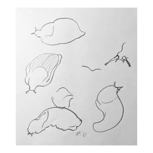 1967 Neil Meitzler Slug Drawing