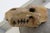 Large Decorative Wooden Dinosaur Head, 1970s For Sale - Image 3 of 16