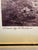 Wood Framed Game Bird Prints After Archibald Thorburn, Pheasant & Ryper – A Pair For Sale - Image 7 of 12