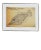 20th Century Scientific Drawing of an Orange Spotted Filefish by David and Natasha Deighton For Sale