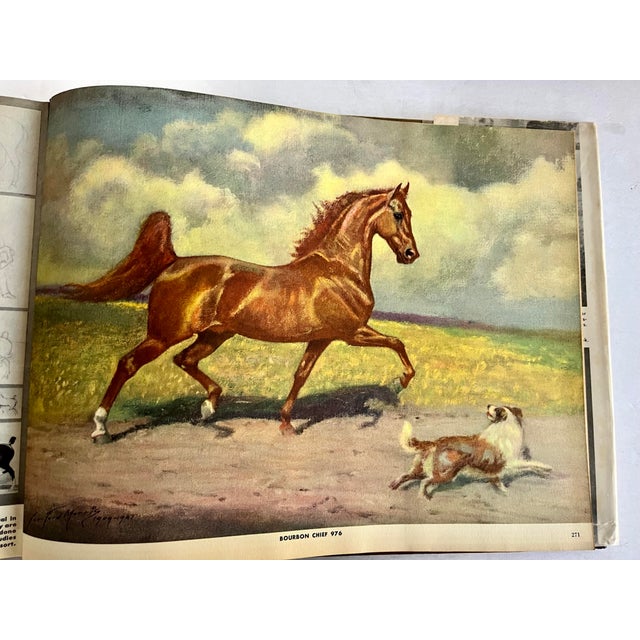 1952 Portraitures of Horses, a Few People, Some Dogs Morris, George Ford Fordacre Studios, NJ Book For Sale In New York - Image 6 of 10