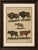 Title: antique yak, indian cattle, buffalo & musk ox engraving – bertuch, 1796 original antique hand-colored copper...