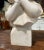 19th Century French Carved Two-Tone White Marble Bust of Young Beauty For Sale - Image 4 of 8
