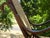 Vintage Rocking Chair in Wood and Rattan, 1980s For Sale - Image 3 of 18