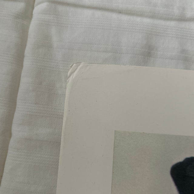 Printmaking Materials 1960s Morris Louis Unframed Lithograph For Sale - Image 7 of 9