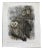1975 Martha Cawley Woodblock Print, Barn Owls, #1/100 For Sale