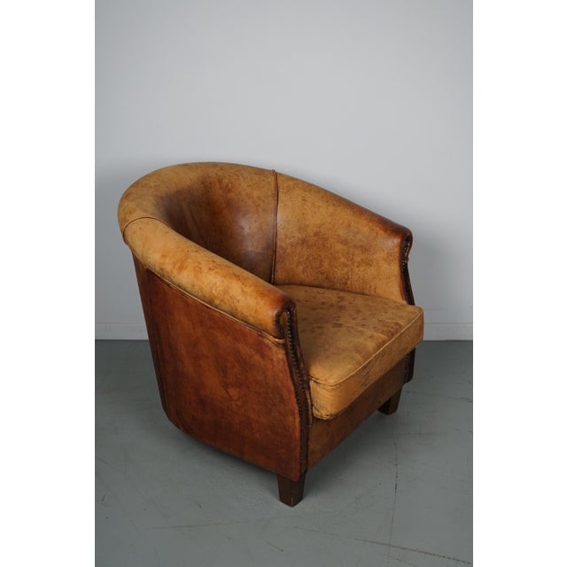 Animal Skin Vintage Dutch Cognac Colored Leather Club Chair For Sale - Image 7 of 16