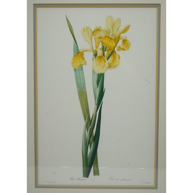 1900 - 1909 Set of 3 Floral Engraving Prints For Sale - Image 5 of 12