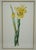 1900 - 1909 Set of 3 Floral Engraving Prints For Sale - Image 5 of 12