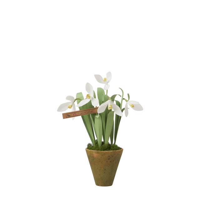 Handmade Snowdrop Plant in a beautiful aged terra cotta pot finished with moss on top. Approximately 15" tall. Pot...