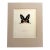 Vintage 1965 Butterfly Print in 11x14 Mat: Eurytides lysithous (Hubner), EUC For Sale