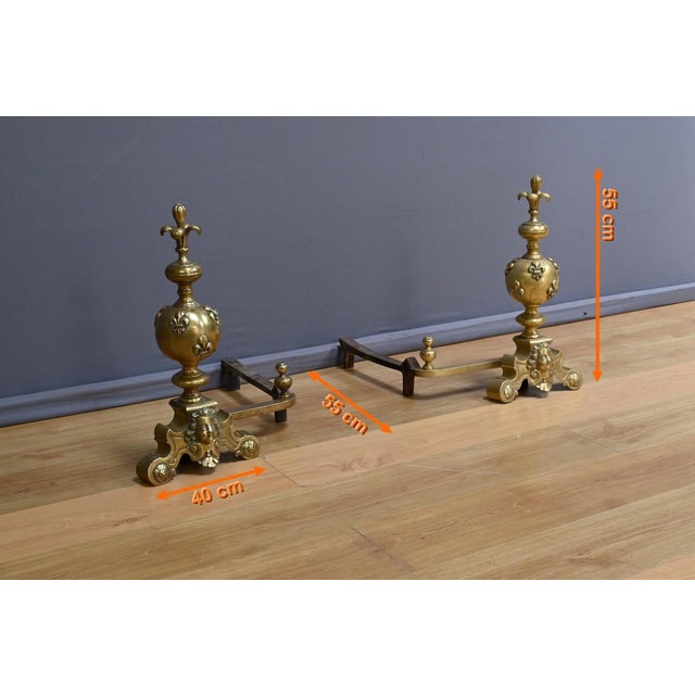 Gilt Bronze Andirons, Early 19th Century, Set of 2 For Sale - Image 14 of 15