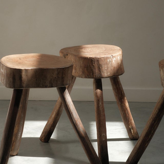 Brutalist coffee table with four stools, made from solid cross-section tree slices on tripod bases, circa 1960. Each piece...