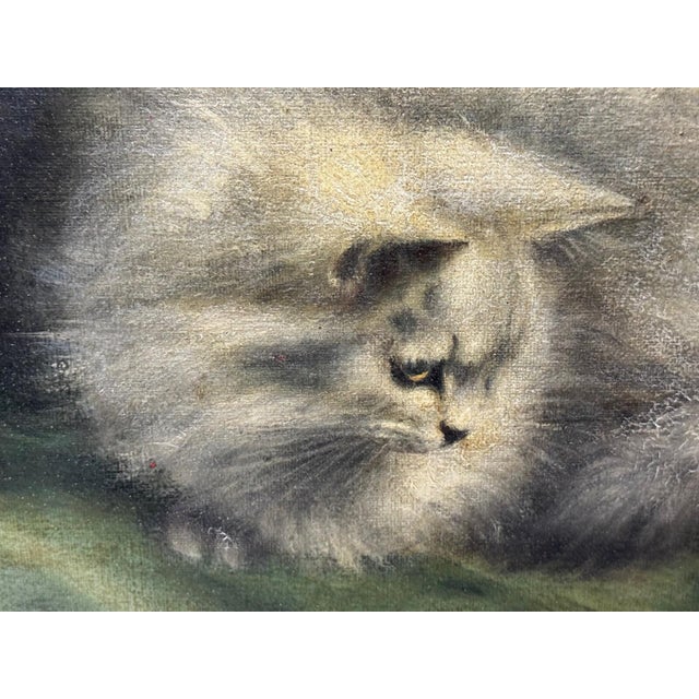 British Persian Cat Oil Painting by Agnes Augusta Talboys Rwa With Decorative Tea Service For Sale - Image 13 of 18