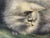 British Persian Cat Oil Painting by Agnes Augusta Talboys Rwa With Decorative Tea Service For Sale - Image 13 of 18