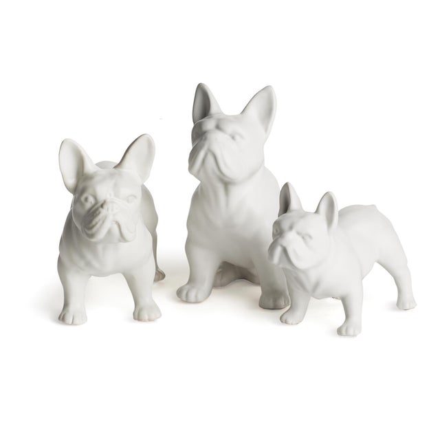 These three tough little fellas are the perfect conversation starter for home or office. Place on a mantle, or on ottoman...