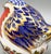 Royal Crown Derby Robin Paperweight – English Bone China / Imari Style – 1997 Robin Nesting For Sale - Image 14 of 14