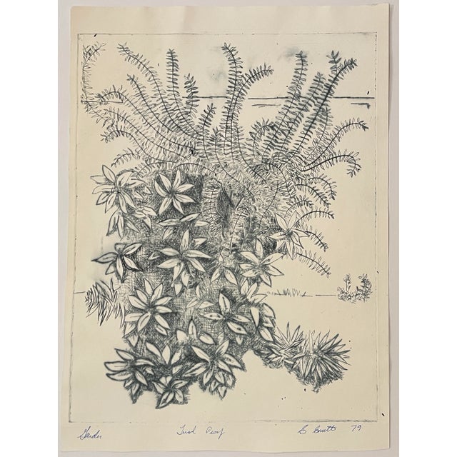 Etching on paper of a garden wall, signed by S. Smith, titled "Garden" and marked as atrial proof. Combined etching...