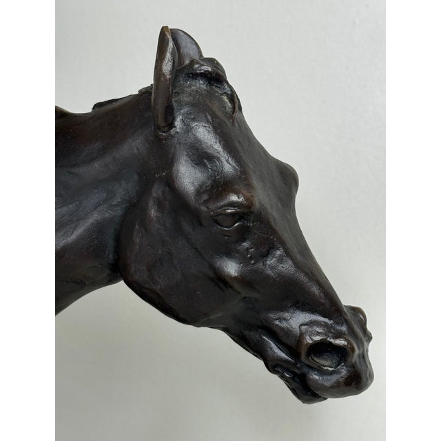 Enzo Plazzotta Galloping Horse Bronze Sculpture – Limited Edition 6/9 – Signed, Museum-Quality For Sale - Image 10 of 18
