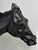 Enzo Plazzotta Galloping Horse Bronze Sculpture – Limited Edition 6/9 – Signed, Museum-Quality For Sale - Image 10 of 18