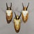 Set of Six Chamois Trophies on Birch Slices Germany Ca. 1960s For Sale - Image 4 of 7