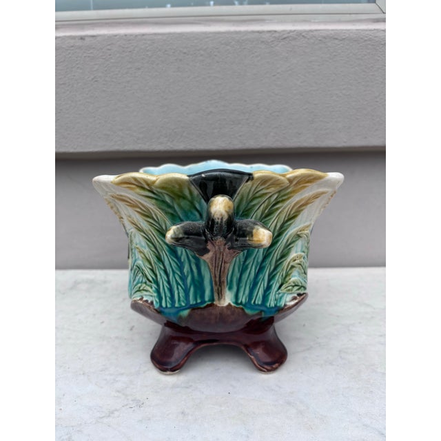 Late 19th Century Cache Pot19th Century Majolica Insects Musicians Cachepot For Sale - Image 5 of 7