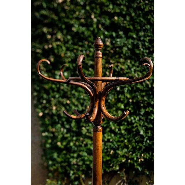 Czechoslovakian Coat Hanger by Michael Thonet, 1900s For Sale - Image 6 of 9