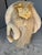 Bench by Edna Cataldo Bighorn Sheep Sculpture Sheep Manner of Francois-Xavier Lalanne For Sale - Image 16 of 18