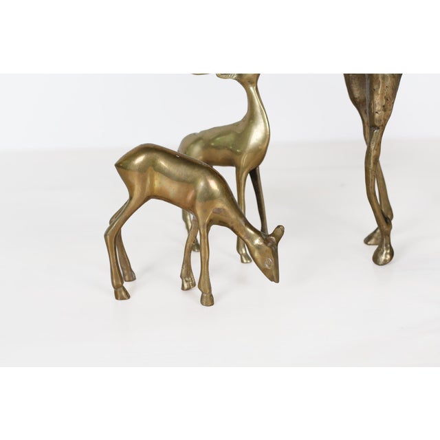 Mid-Century Brass Deer Family, Set of 4 | Large Stag and Fawns For Sale - Image 9 of 15