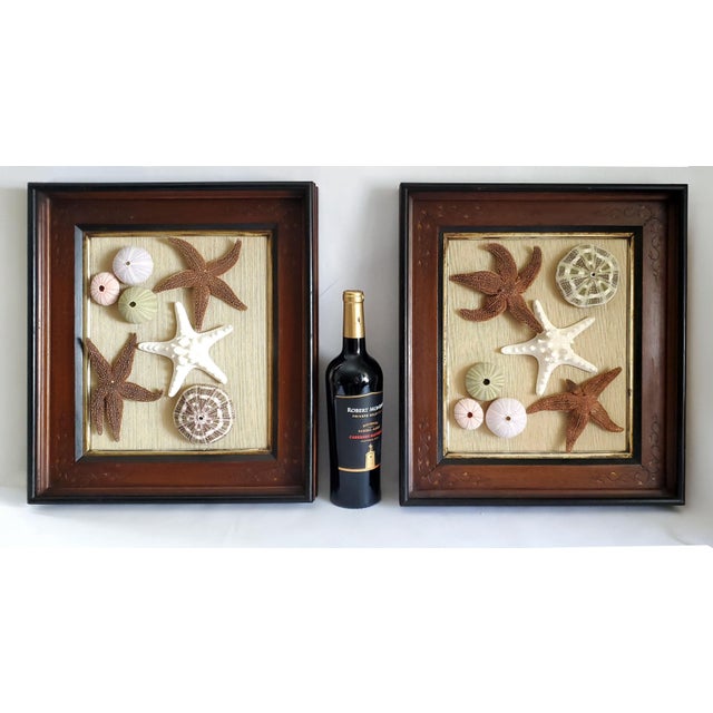 Box Pair Coastal For Sale - Image 12 of 14