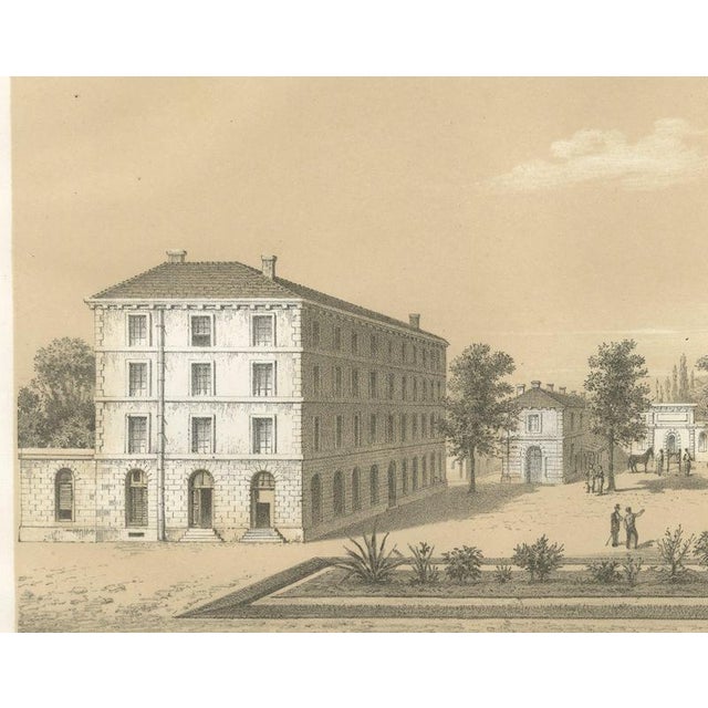 19th Century V. Rose, Alfort Veterinary School, 1873, Paper For Sale - Image 5 of 12