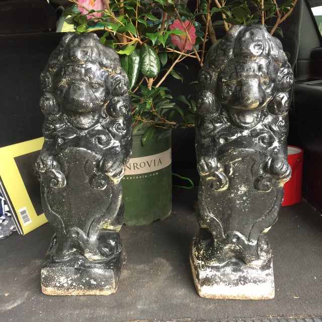 Gorgeous heavy stone foo dog lions perfect for a garden or interior design space.