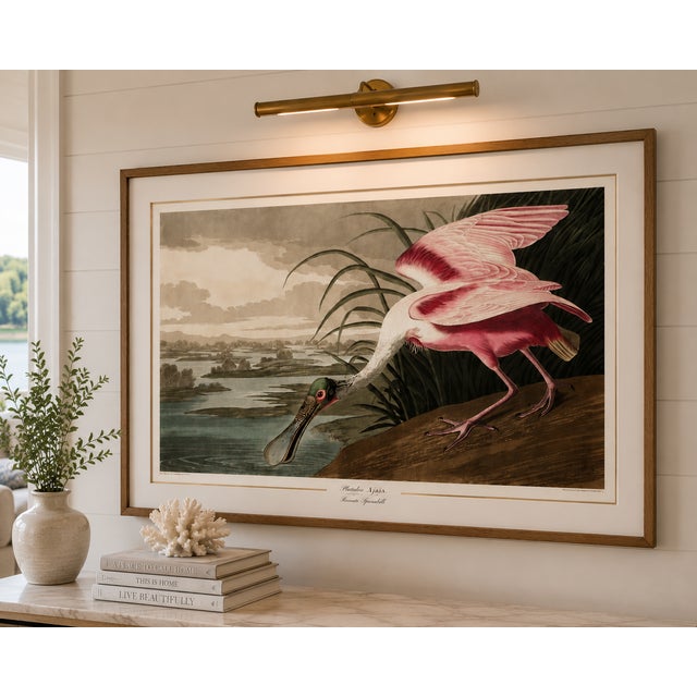 John James Audubon Roseate Spoonbill by John James Audubon, Vintage Art Print Reproduction, 60" × 40" For Sale - Image 4 of 6
